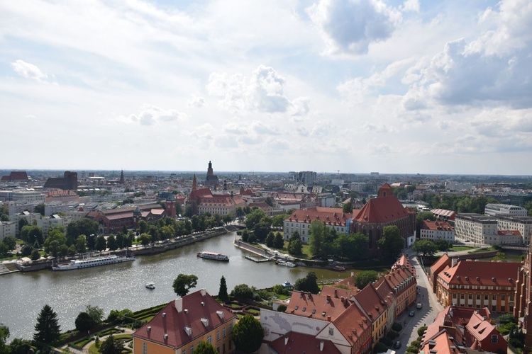 Oaza LSO DT we Wrocławiu