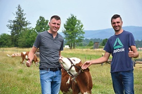 Bliźniacy uratowali ją z pożaru. Za otrzymane pieniądze chcą jak najszybciej dla niej i innych zwierząt zbudować pomieszczenia gospodarcze.