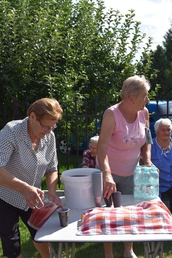 XVIII PPDŚ na Jasną Górę - dzień 3 - Jegłowa-Gracze