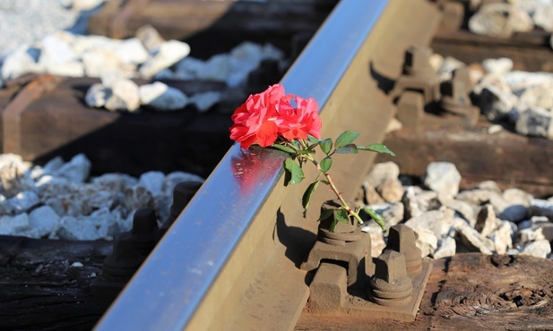 Czechy: Zderzyły się pociągi. Są ofiary śmiertelne