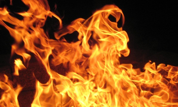 Arcybiskup Aten: Pożary pokazują, jak ważna jest dziś ekologia