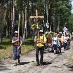 XVIII PPDŚ na Jasną Górę - dzień 7 - Łomnica-Cisie