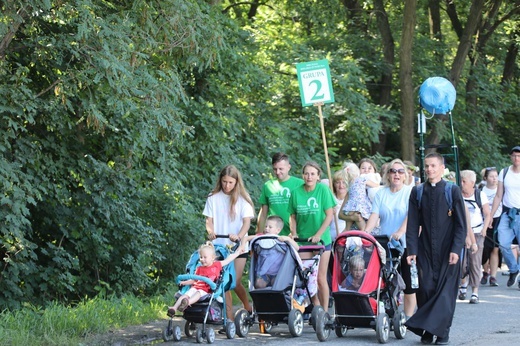 30. Pielgrzymka Diecezji Bielsko-Żywieckiej na Jasną Górę - grupy hałcnowskie na trasie