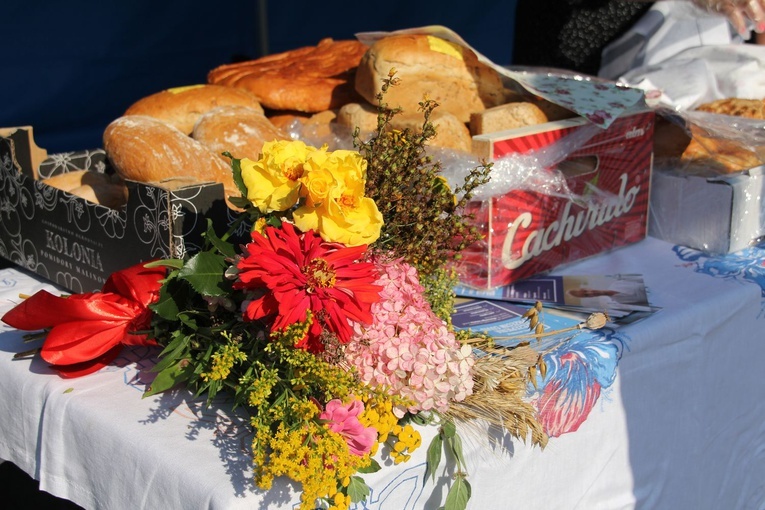 Tarnobrzeg-Mokrzyszów. Święto Chleba