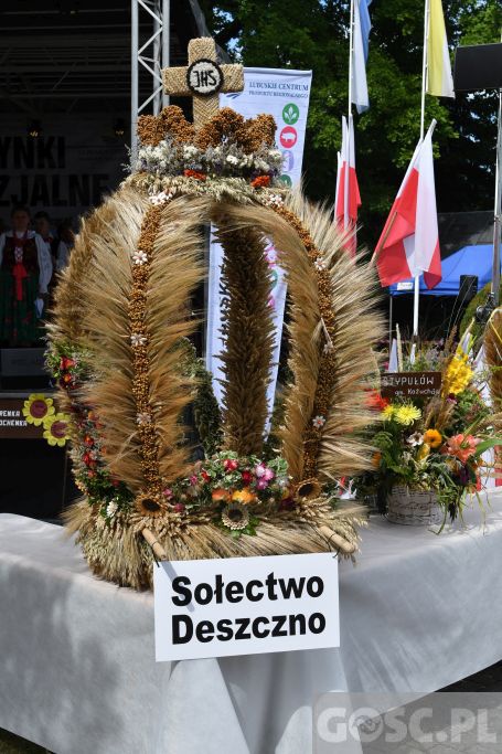 Diecezjalne dożynki w Rokitnie