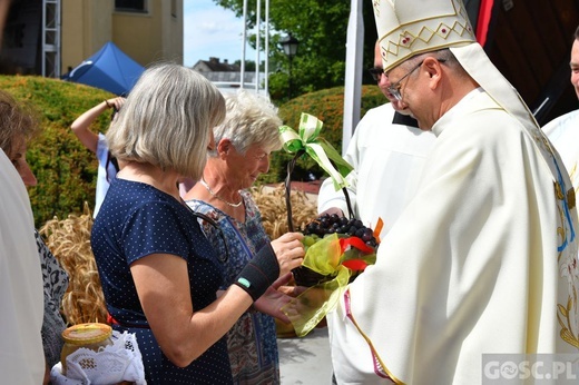 Diecezjalne dożynki w Rokitnie