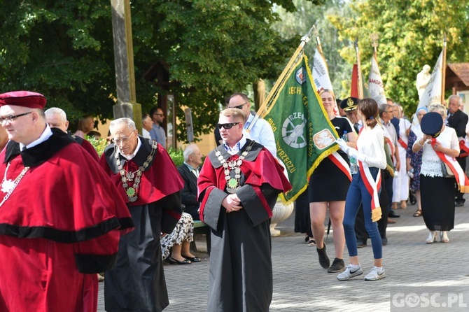 Diecezjalne dożynki w Rokitnie