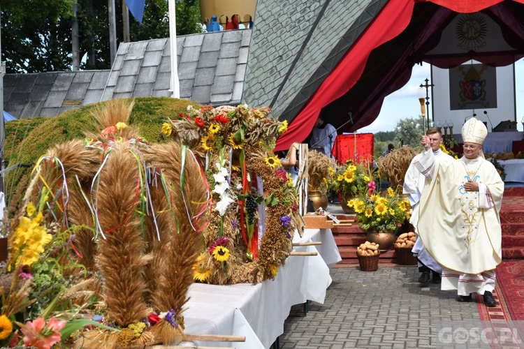 Diecezjalne dożynki w Rokitnie