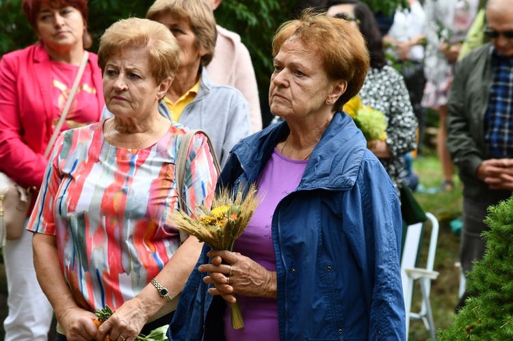 Diecezjalna Pielgrzymka Rodzin