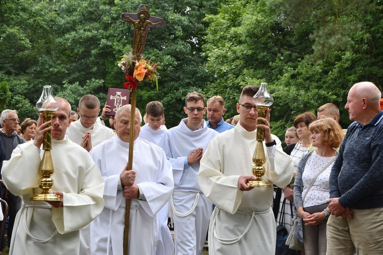 Diecezjalna Pielgrzymka Rodzin