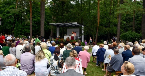 Diecezjalna Pielgrzymka Rodzin