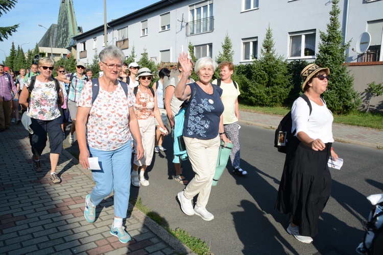 Strumień opolski prowadzi jedynka zielona