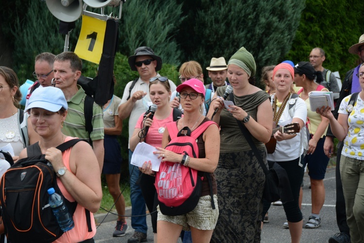 Strumień opolski w Kamieniu Śląskim