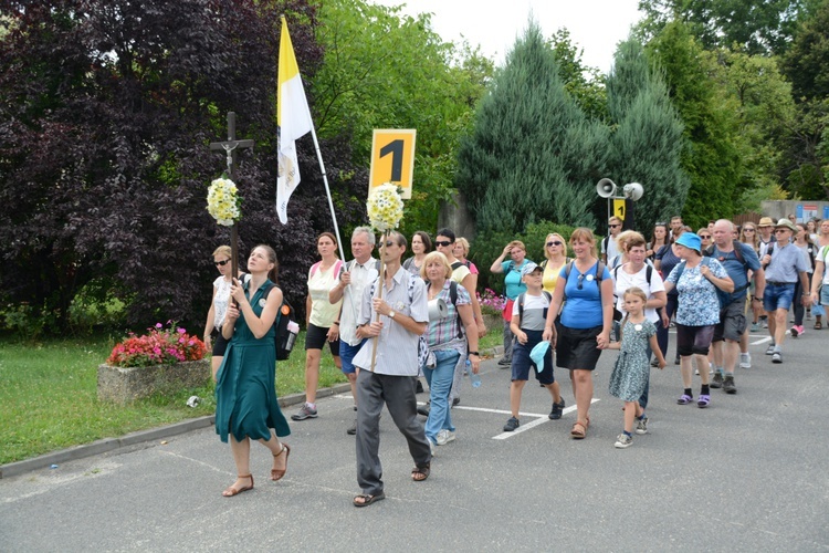 Strumień opolski w Kamieniu Śląskim