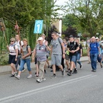 Strumień opolski w Kamieniu Śląskim