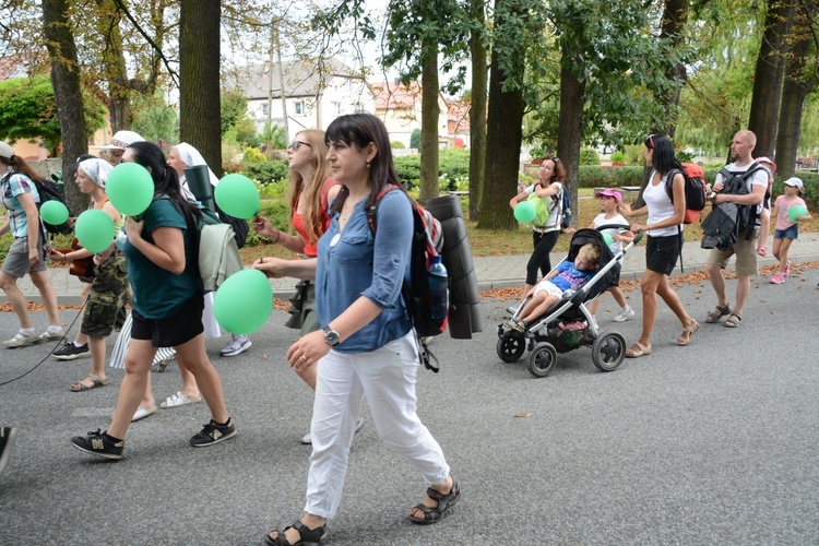 Strumień opolski w Kamieniu Śląskim