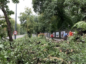 Krajobraz po burzy i wielkie sprzątanie