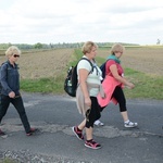 Strumień raciborski w drodze z Ujazdu