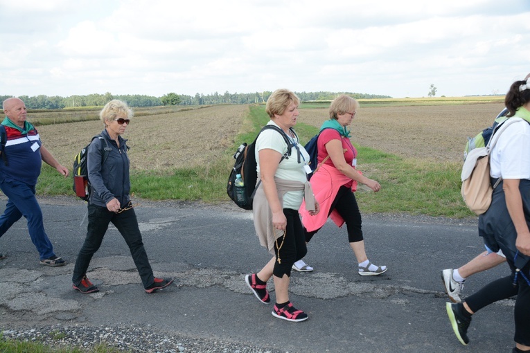 Strumień raciborski w drodze z Ujazdu