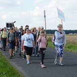 Strumień raciborski w drodze z Ujazdu