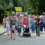 Strumień opolski w Jemielnicy