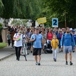 Strumień opolski w Jemielnicy