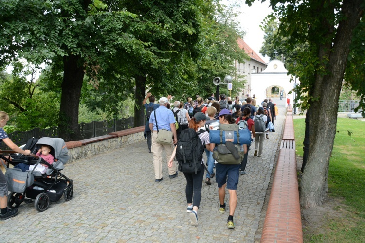 Strumień opolski w Jemielnicy