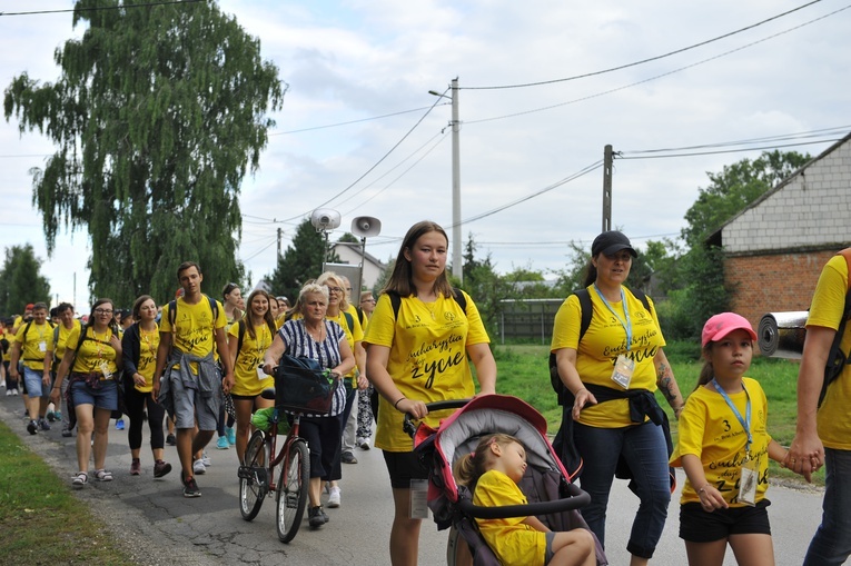 39. PPT - grupa 3