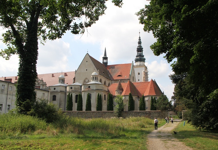 IV Archidiecezjalna Pielgrzymka Czcicieli Maryi - Wspólnot Żywego Różańca w Henrykowie