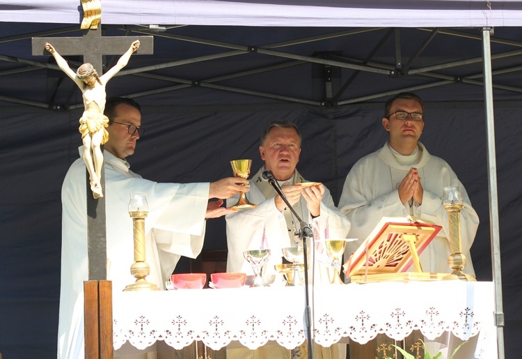 IV Archidiecezjalna Pielgrzymka Czcicieli Maryi - Wspólnot Żywego Różańca w Henrykowie