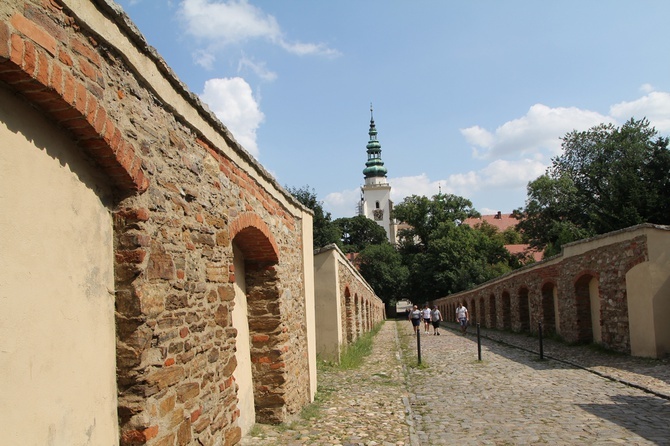 IV Archidiecezjalna Pielgrzymka Czcicieli Maryi - Wspólnot Żywego Różańca w Henrykowie