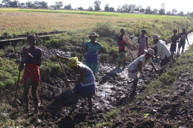 Głód na Madagaskarze: Ludzie jedzą liście kaktusów