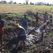 Głód na Madagaskarze: Ludzie jedzą liście kaktusów