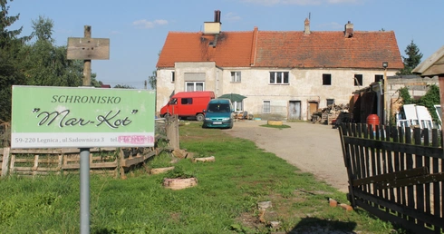 Legnicki Mar-Kot i jego mieszkańcy