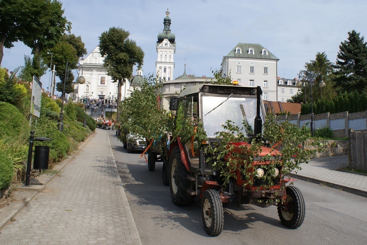 Dożynki w Tuchowie