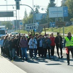 Pielgrzymki do Wąwolnicy