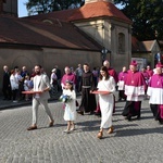 Koronacja obrazu NMP Pani Pocieszenia