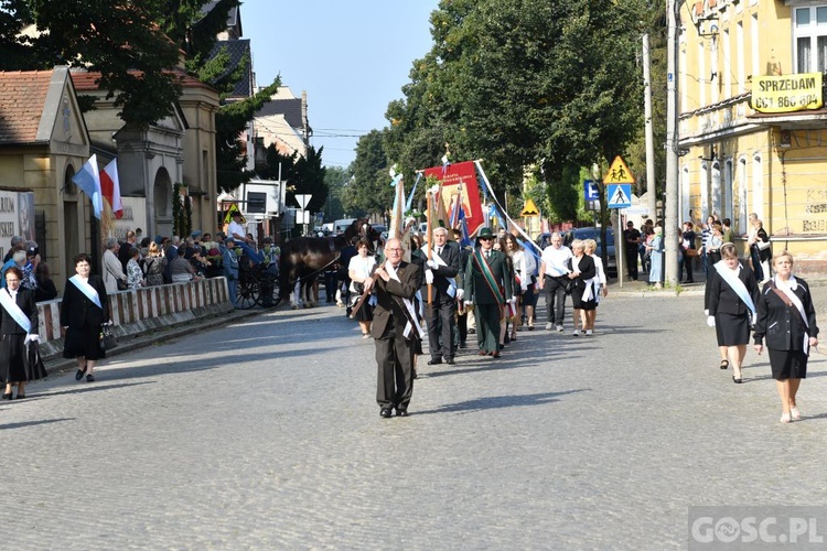 Koronacja obrazu NMP Pani Pocieszenia