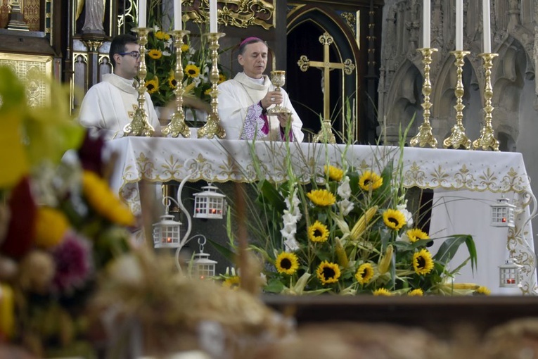 Dożynki w Strzegomiu 2021