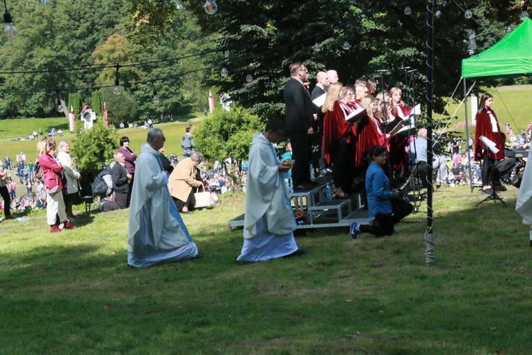 Uroczystości w Wąwolnicy