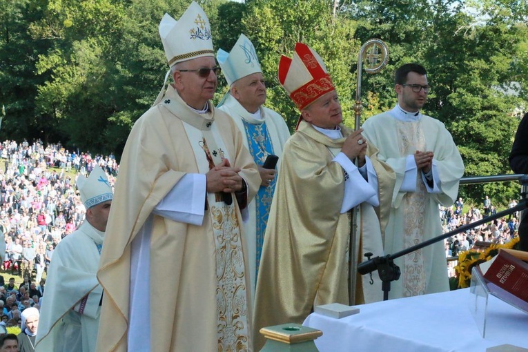 Uroczystości w Wąwolnicy