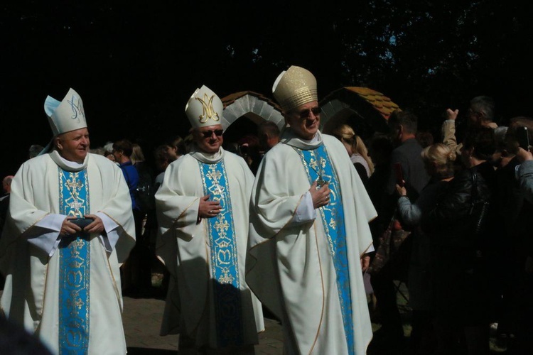 Uroczystości w Wąwolnicy