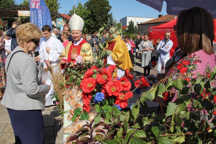 Brzesko. Diecezjalne Święto Chleba 2021