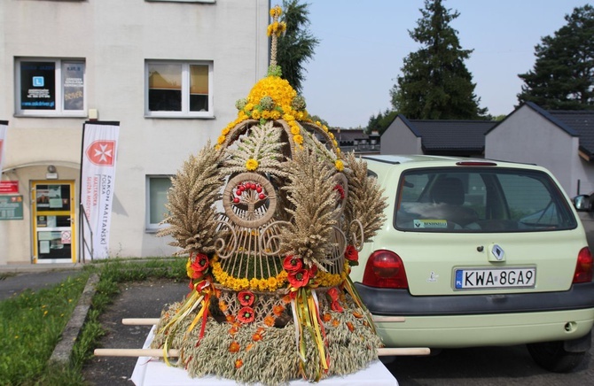 Świętowanie z maltańczykami na pikniku w Andrychowie - 2021