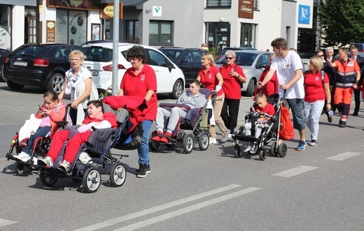 Świętowanie z maltańczykami na pikniku w Andrychowie - 2021