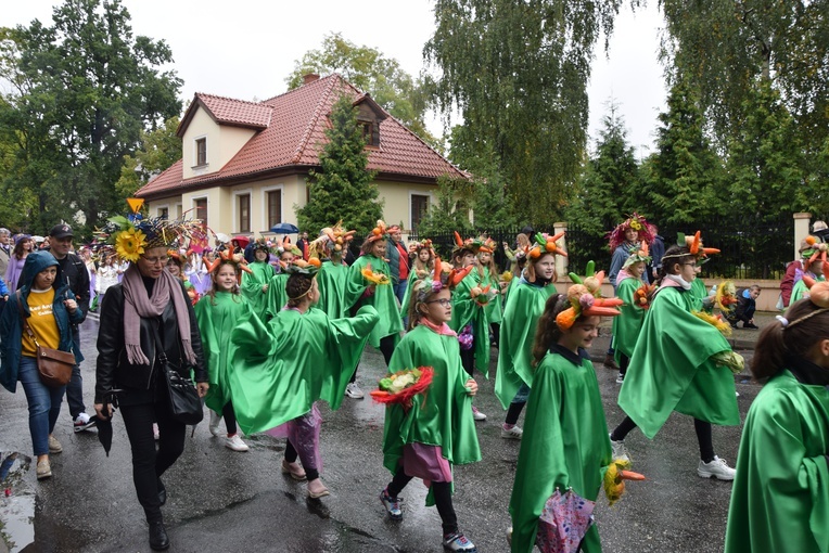 Kwiatowe rozmaitości i barwne corso