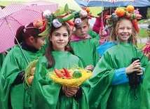 ▲	W tym roku w paradzie otwierającej wydarzenie przeszła rekordowa liczba grup. Aż 58 ekip, a wśród nich przedstawiciele szkół, gmin, stowarzyszeń, klubów sportowych, instytucji i spółek, a także przyjaciół, sąsiadów i sympatyków święta.
