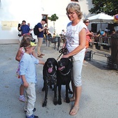 Psy myśliwskie dawały się pogłaskać.