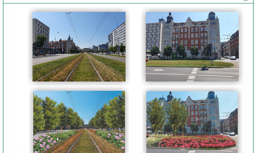 Katowice. Nowe zielone przestrzenie w mieście 