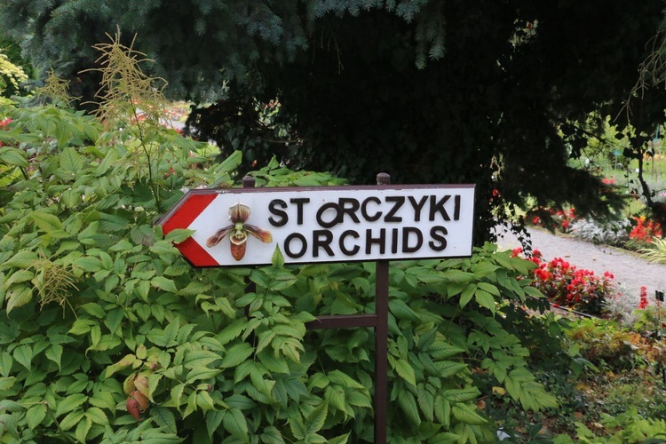 Fotografie Ogrodu Botanicznego w Krakowie